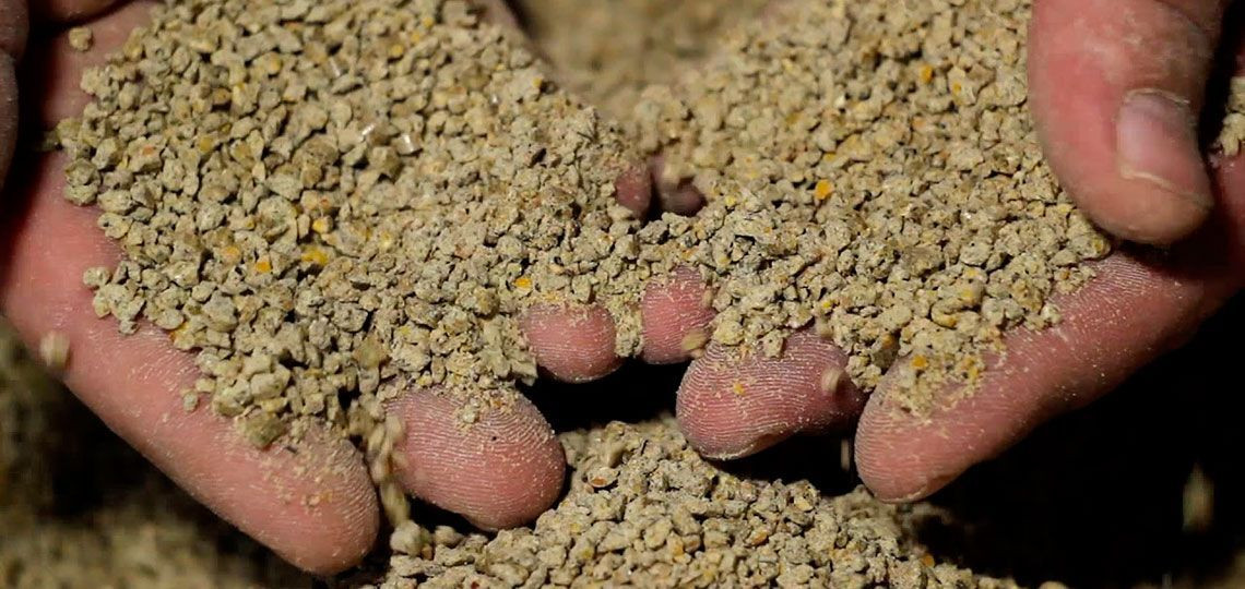 Korm-dlya-brojlerov-cena