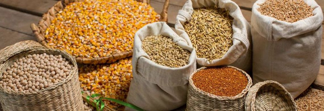 Korma-dlya-zhivotnyh-optom