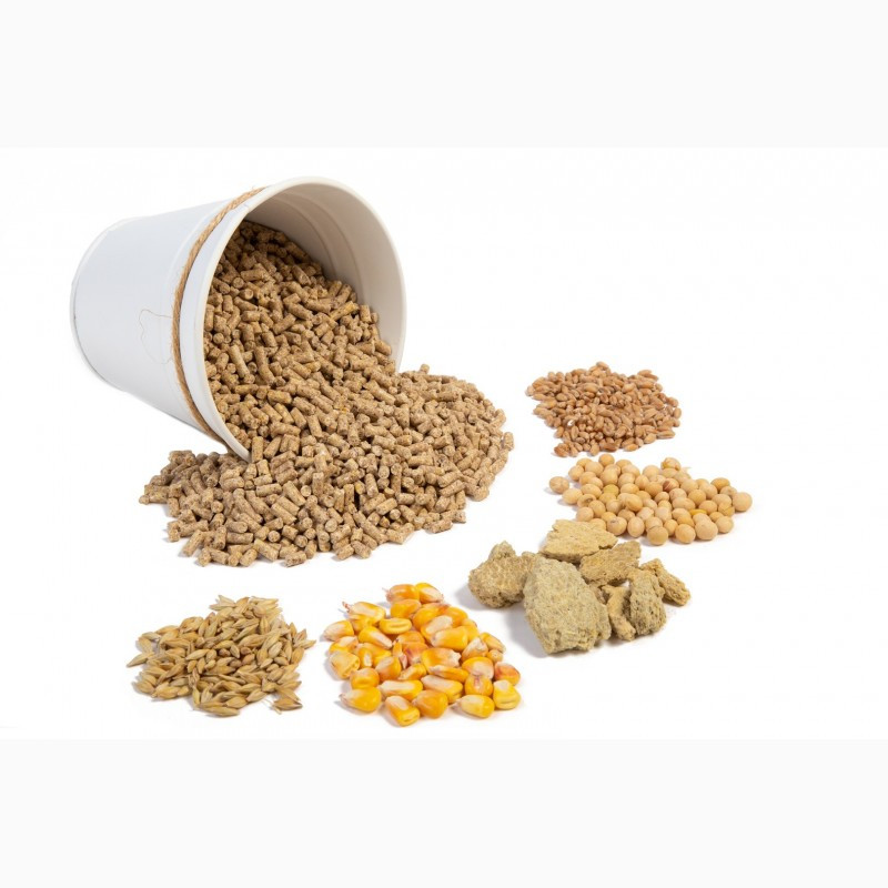 Kormovye-dobavki-dlya-zhivotnyh