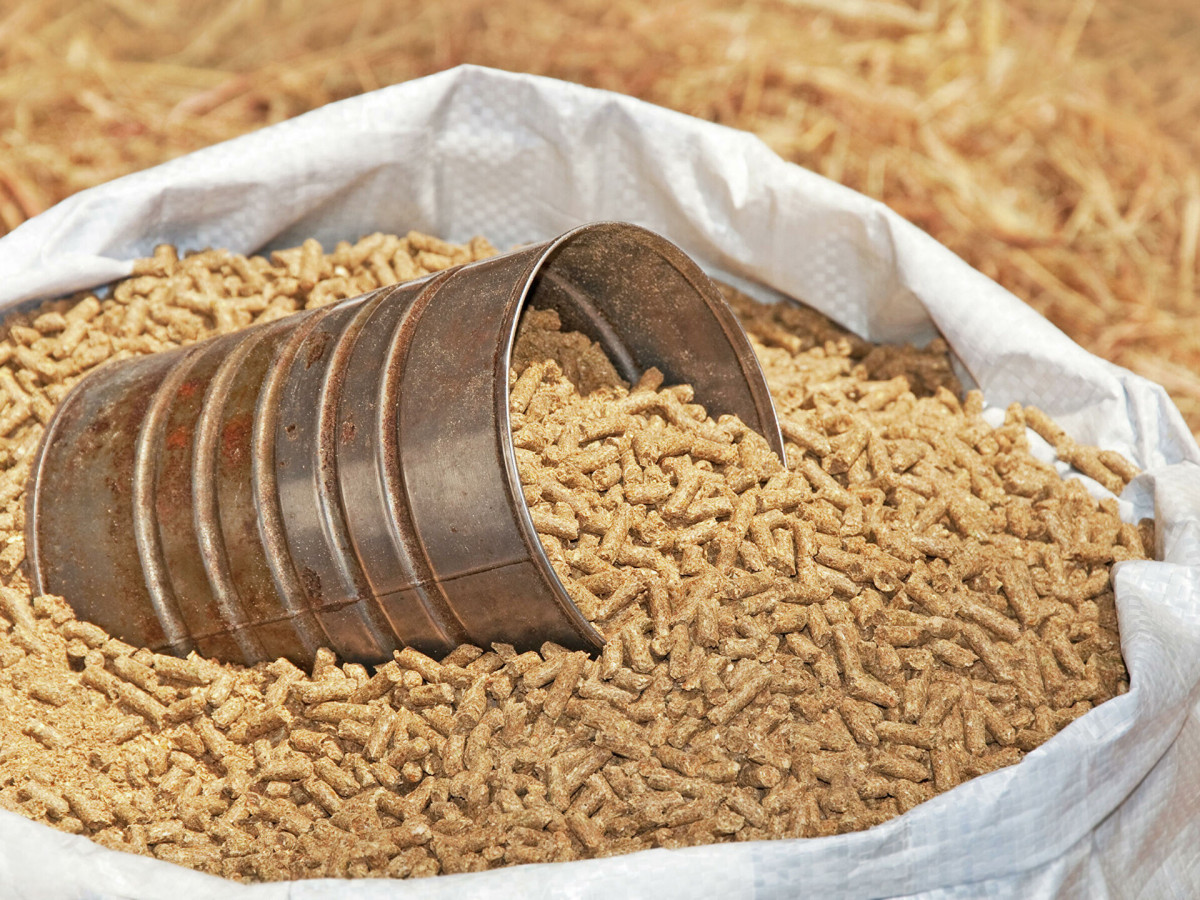 Kupit-kormovoj-protein